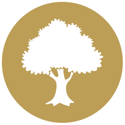 Beechgrove Trees and Hedging