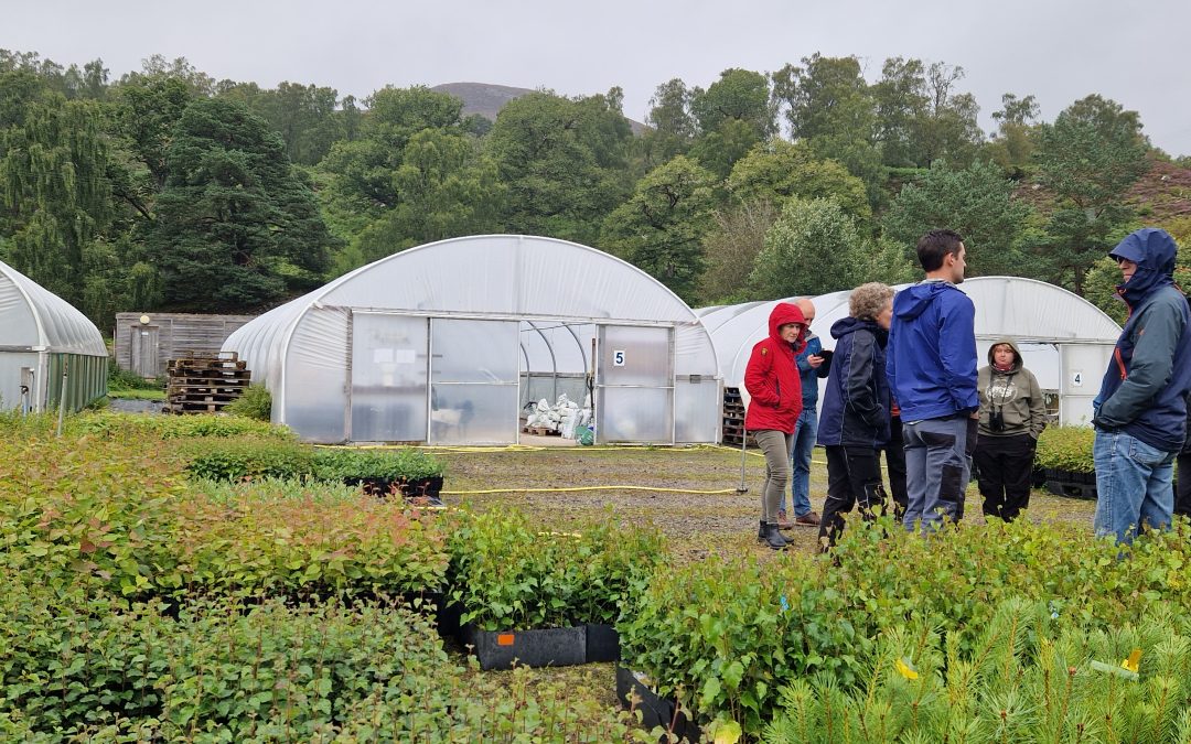 Small Scottish Tree Nurseries Report