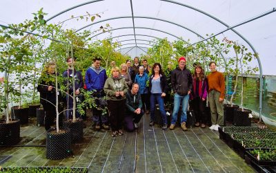 The Niche for Nano-nurseries