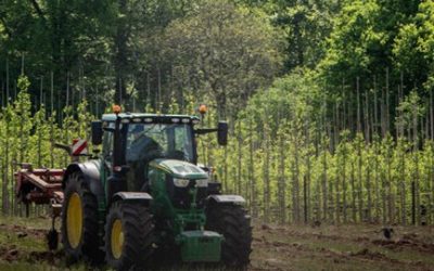 Strong Roots: Growing British Tree Nurseries