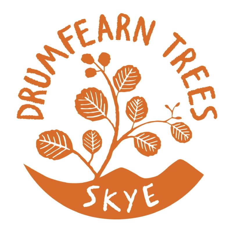 Drumfearn Trees