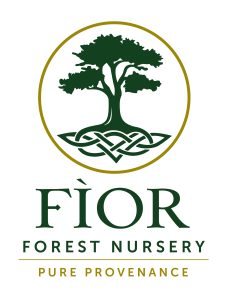 Fìor Forest Nursery
