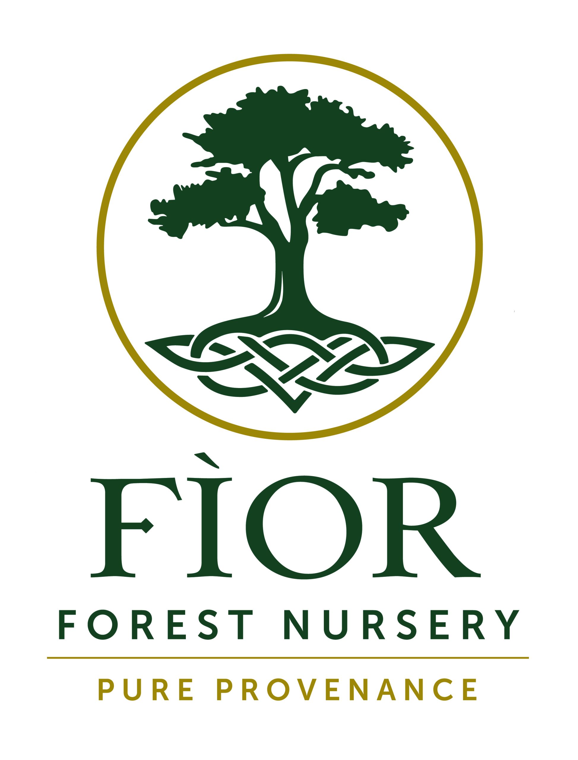 Fìor Forest Nursery
