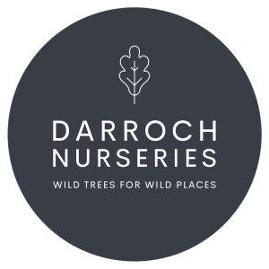 Darroch Nurseries