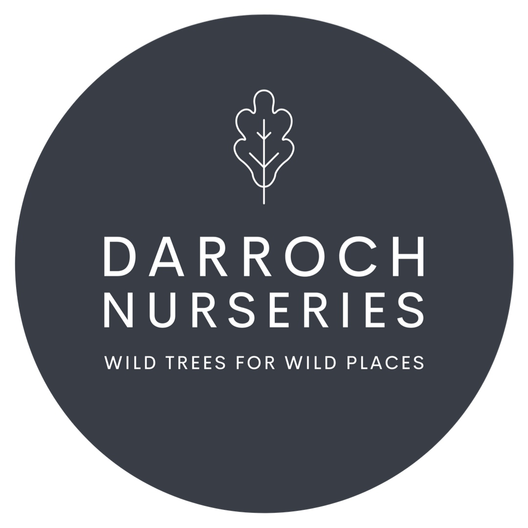 Darroch Nurseries